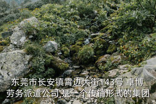 東莞市長安鎮(zhèn)霄邊大街143號 卓博勞務(wù)派遣公司 是一個傳銷形式的集團