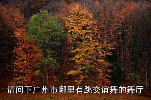 請(qǐng)問下廣州市哪里有跳交誼舞的舞廳