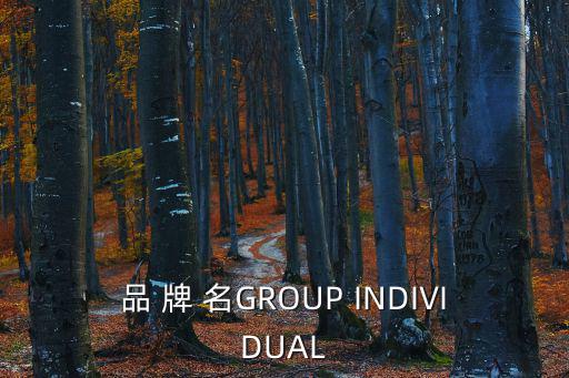 品 牌 名GROUP INDIVIDUAL