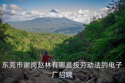東莞市謝崗趙林有哪些按勞動法的電子廠招聘