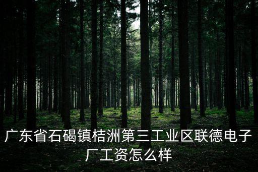 廣東省石碣鎮桔洲第三工業區聯德電子廠工資怎么樣