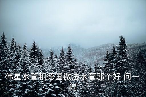 微法水管，凱瑟水管和微法哪個好