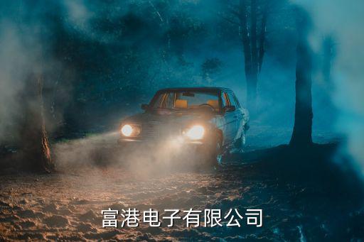富港電子有限公司