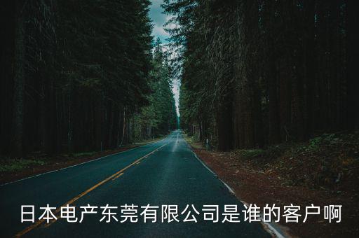 日本電產東莞有限公司是誰的客戶啊