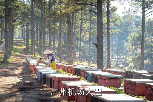 廣州機場大巴