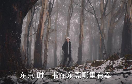 東莞市宏橋進出口有限公司，一書在東莞哪里有賣