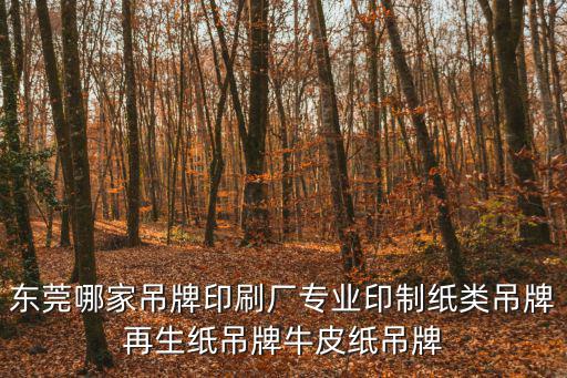 東莞哪家吊牌印刷廠專業印制紙類吊牌再生紙吊牌牛皮紙吊牌