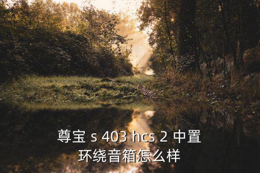 尊寶 s 403 hcs 2 中置環(huán)繞音箱怎么樣