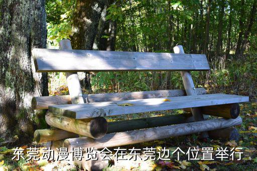 東莞動(dòng)漫博覽會(huì)在東莞邊個(gè)位置舉行