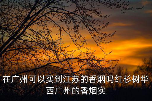 余嘉安 廣州卷煙廠，廣州煙草專賣局局長是誰