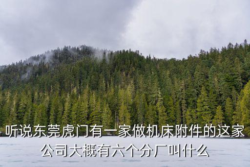 東莞精旺數控機床科技有限公司，聽說東莞虎門有一家做機床附件的這家公司大概有六個分廠叫什么
