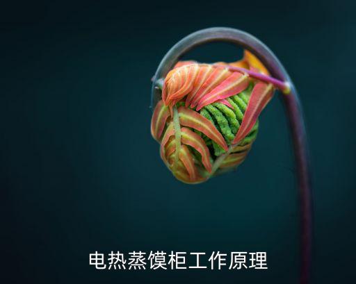 電熱蒸饃柜工作原理