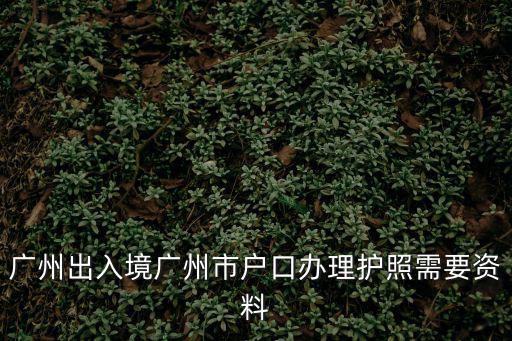 廣州出入境廣州市戶口辦理護照需要資料