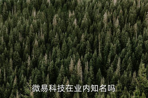 微易科技在業內知名嗎