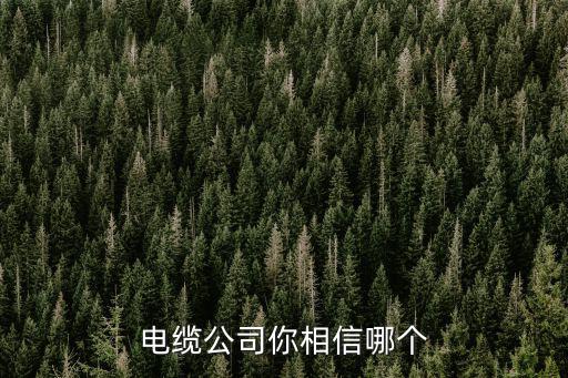 電纜公司你相信哪個
