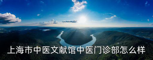 上海中醫文獻館，上海中醫文獻館怎么樣