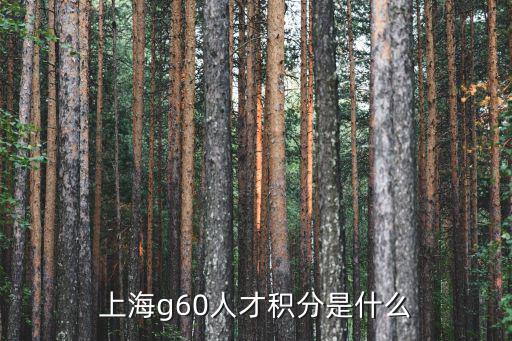上海g60人才積分是什么