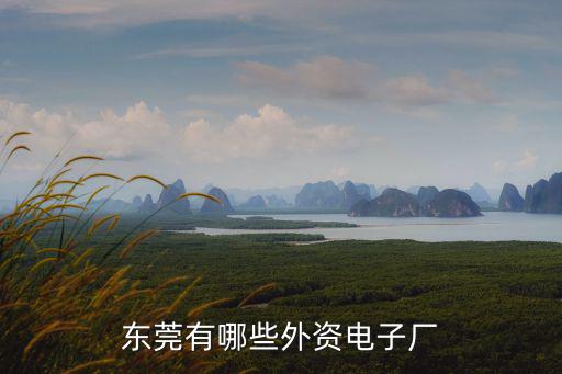 東莞有哪些外資電子廠