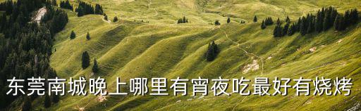 東莞南城晚上哪里有宵夜吃最好有燒烤