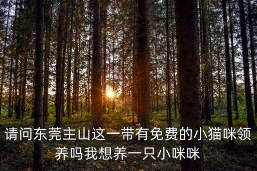 請問東莞主山這一帶有免費的小貓咪領養嗎我想養一只小咪咪