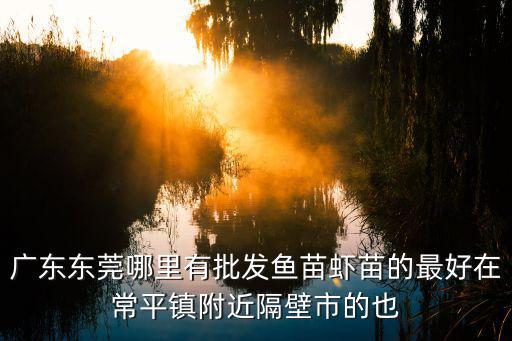 廣東東莞哪里有批發魚苗蝦苗的最好在常平鎮附近隔壁市的也