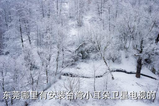東莞哪里有安裝臺灣小耳朵衛星電視的
