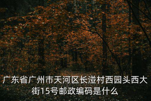 廣東省廣州市天河區長湴村西園頭西大街15號郵政編碼是什么