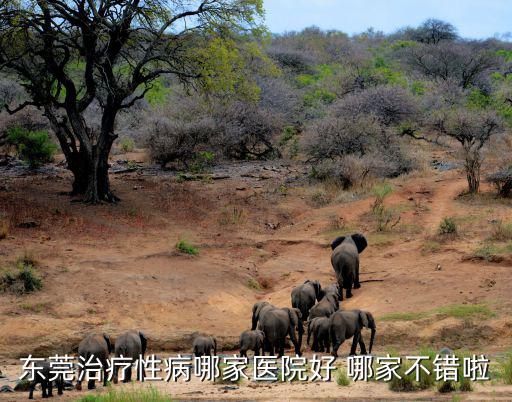 東莞治療性病哪家醫院好 哪家不錯啦
