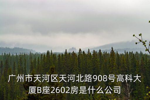 廣州市天河區(qū)天河北路908號(hào)高科大廈B座2602房是什么公司