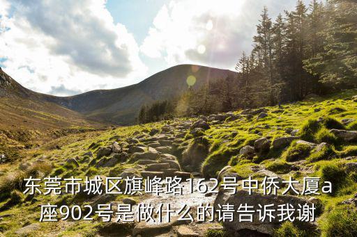 東莞市城區(qū)旗峰路162號中僑大廈a座902號是做什么的請告訴我謝