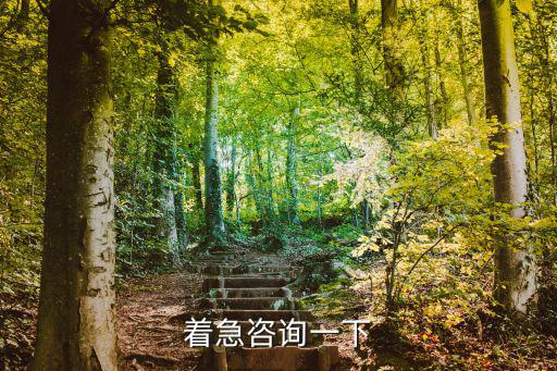 著急咨詢一下
