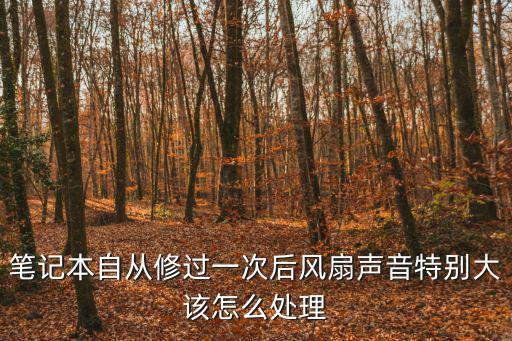 筆記本自從修過(guò)一次后風(fēng)扇聲音特別大該怎么處理