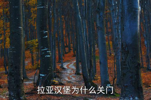 拉亞漢堡，上海拉亞漢堡為什么不營業(yè)了