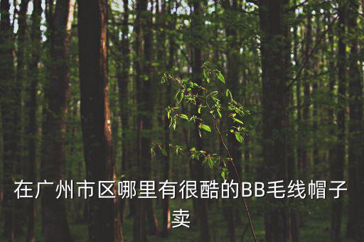在廣州市區哪里有很酷的BB毛線帽子賣