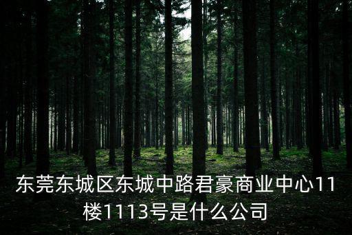 東莞東城區(qū)東城中路君豪商業(yè)中心11樓1113號是什么公司