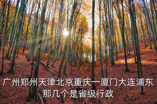 廣州鄭州天津北京重慶一廈門大連浦東那幾個(gè)是省級(jí)行政