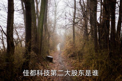 佳都科技第二大股東是誰