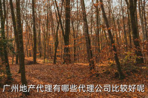 廣州房地產代理，廣州有什么地產公司最好一手代理的謝謝