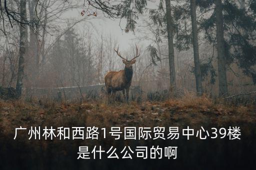 廣州市范梵商貿有限公司，廣州市白云區機場路1438號正陽大廈1008室現在是什么公司有誰知道