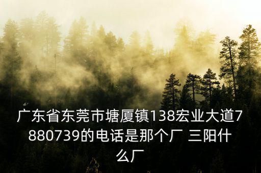 廣東省東莞市塘廈鎮(zhèn)138宏業(yè)大道7880739的電話是那個廠 三陽什么廠