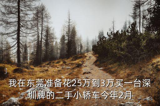 我在東莞準備花25萬到3萬買一臺深圳牌的二手小轎車今年2月