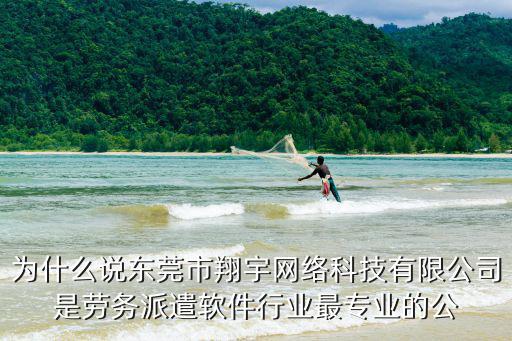 為什么說東莞市翔宇網絡科技有限公司是勞務派遣軟件行業最專業的公