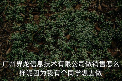 廣州界龍信息技術有限公司做銷售怎么樣呢因為我有個同學想去做