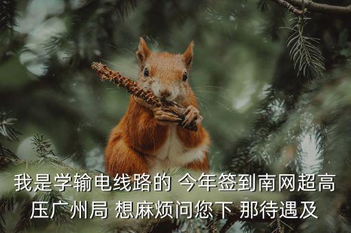 我是學(xué)輸電線路的 今年簽到南網(wǎng)超高壓廣州局 想麻煩問(wèn)您下 那待遇及
