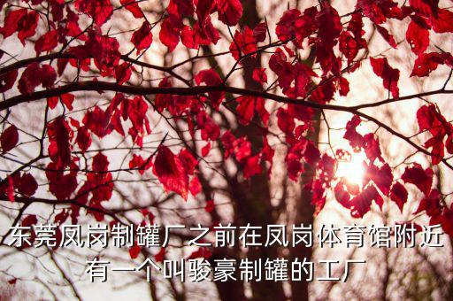 東莞鳳崗制罐廠之前在鳳崗體育館附近有一個(gè)叫駿豪制罐的工廠
