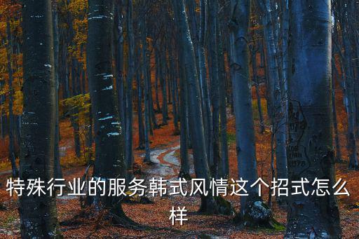 特殊行業的服務韓式風情這個招式怎么樣