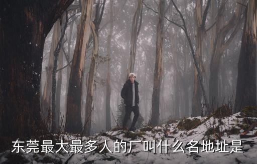 東莞最大最多人的廠叫什么名地址是