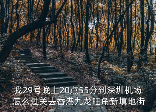 我29號(hào)晚上20點(diǎn)55分到深圳機(jī)場(chǎng) 怎么過關(guān)去香港九龍旺角新填地街
