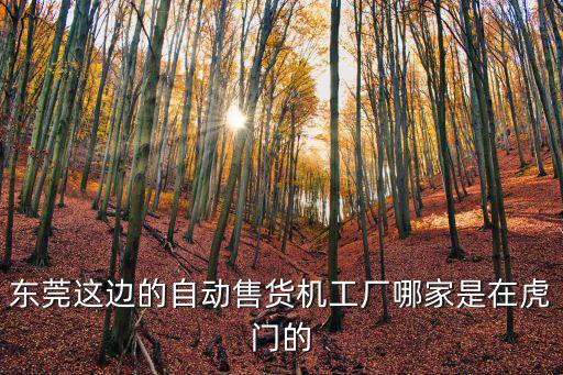 東莞這邊的自動售貨機工廠哪家是在虎門的