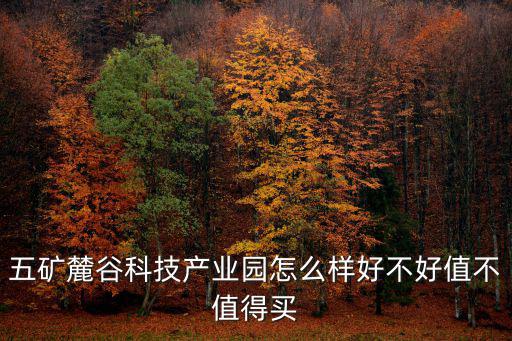 五礦麓谷科技產(chǎn)業(yè)園怎么樣好不好值不值得買